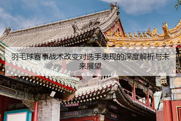 羽毛球赛事战术改变对选手表现的深度解析与未来展望